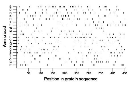 amino acid map