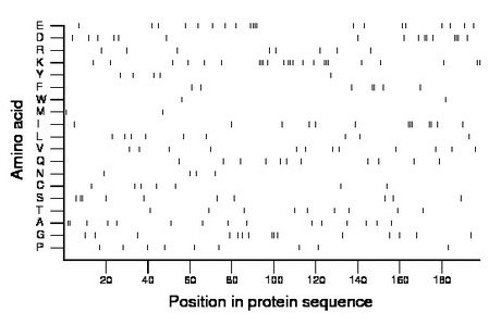 amino acid map