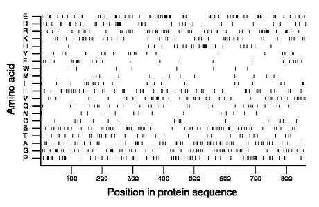 amino acid map