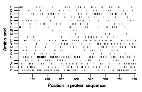 amino acid map