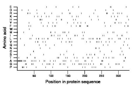 amino acid map