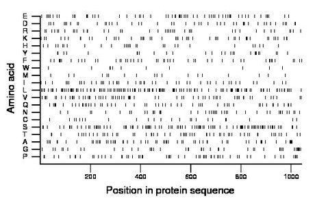 amino acid map