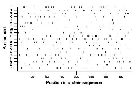 amino acid map