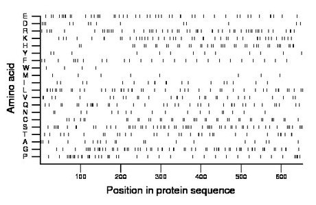 amino acid map