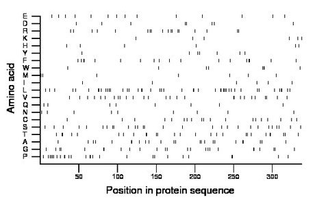 amino acid map