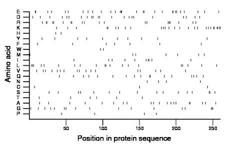 amino acid map