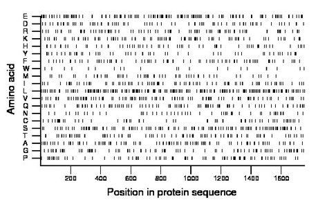 amino acid map