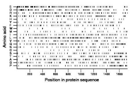 amino acid map