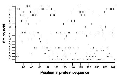 amino acid map