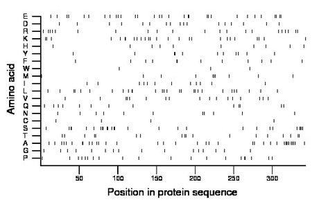 amino acid map