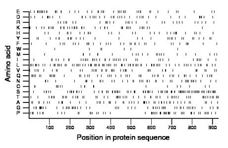 amino acid map