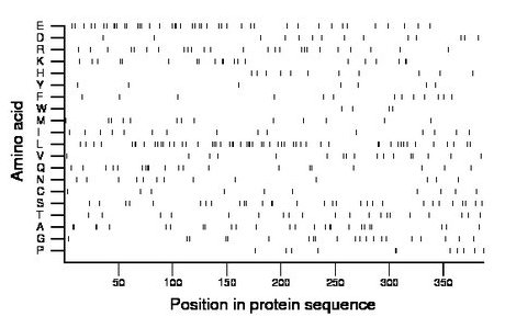 amino acid map