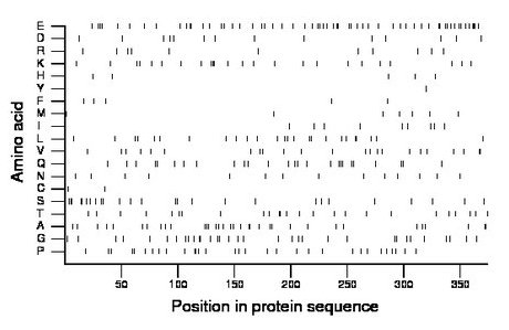 amino acid map