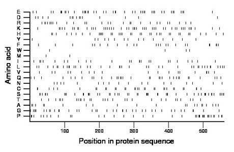 amino acid map