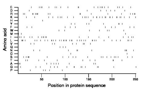 amino acid map