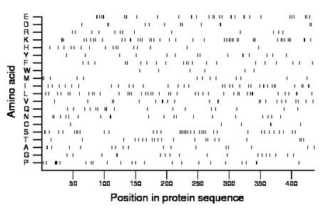 amino acid map