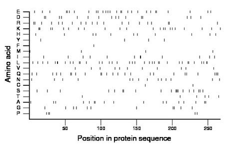 amino acid map