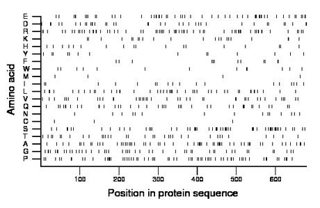 amino acid map