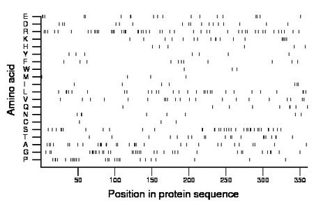 amino acid map