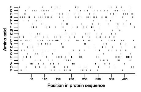 amino acid map