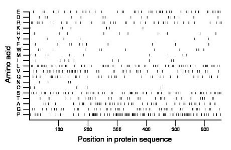 amino acid map