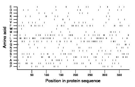 amino acid map