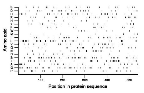 amino acid map