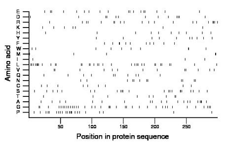 amino acid map