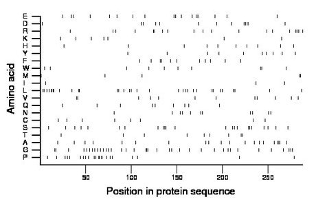 amino acid map