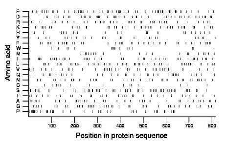 amino acid map