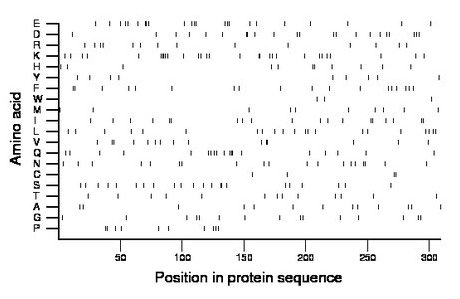 amino acid map