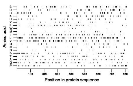 amino acid map