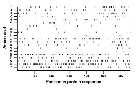 amino acid map