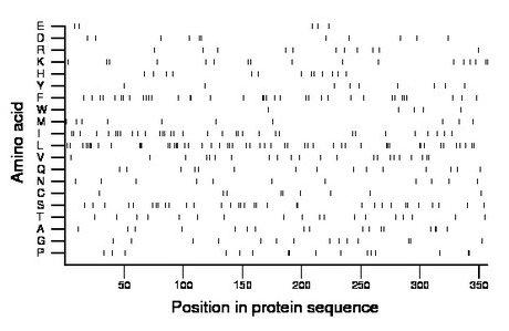 amino acid map