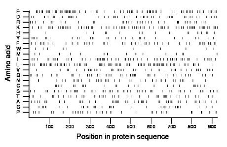 amino acid map