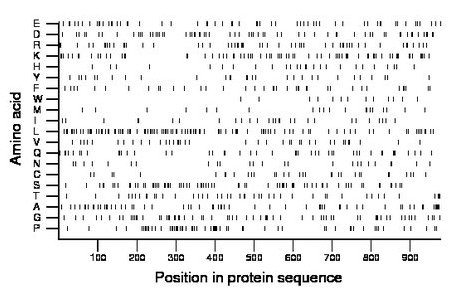 amino acid map