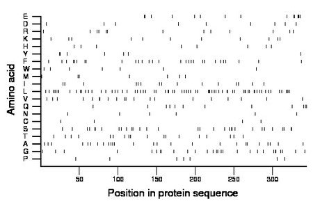 amino acid map