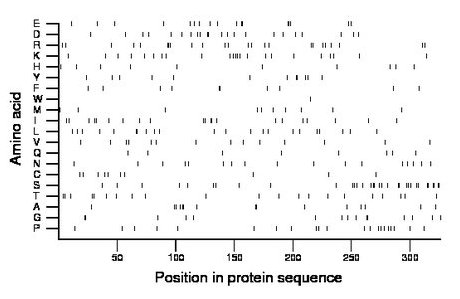 amino acid map