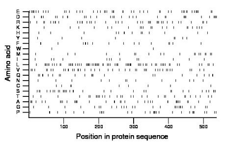 amino acid map