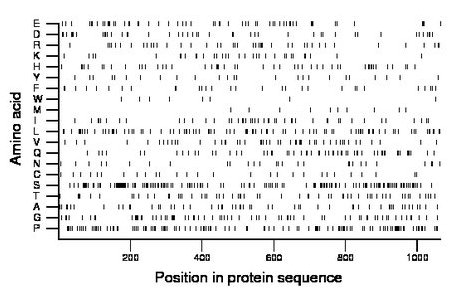 amino acid map