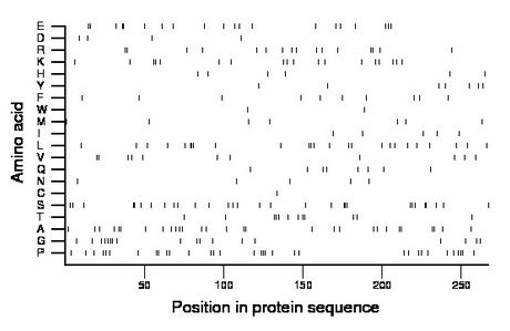 amino acid map