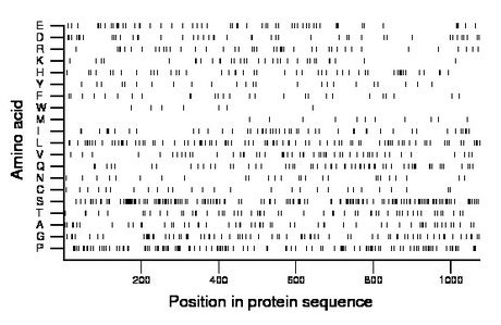 amino acid map