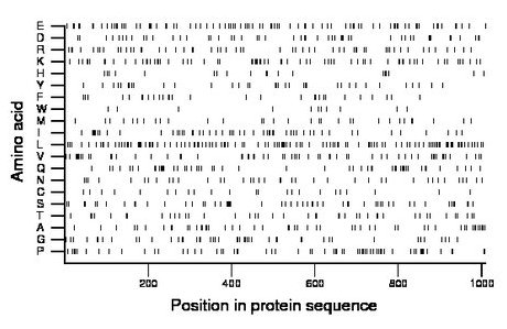 amino acid map