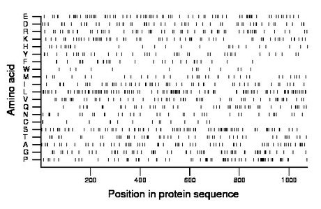 amino acid map