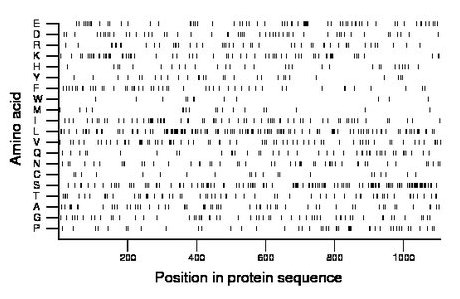 amino acid map