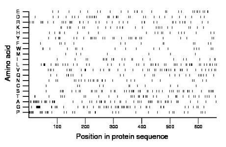 amino acid map