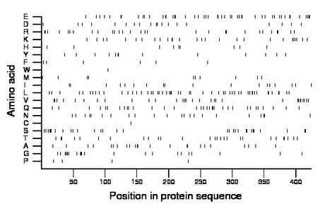 amino acid map