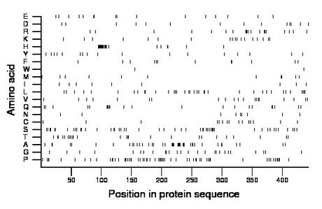 amino acid map