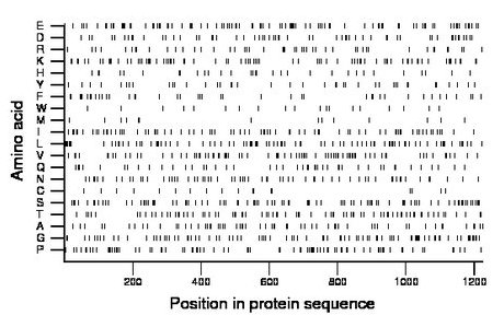 amino acid map