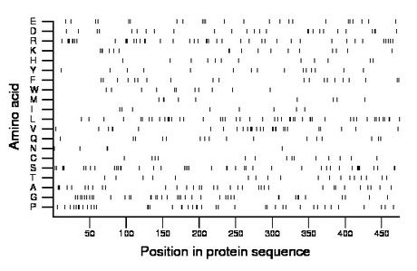 amino acid map